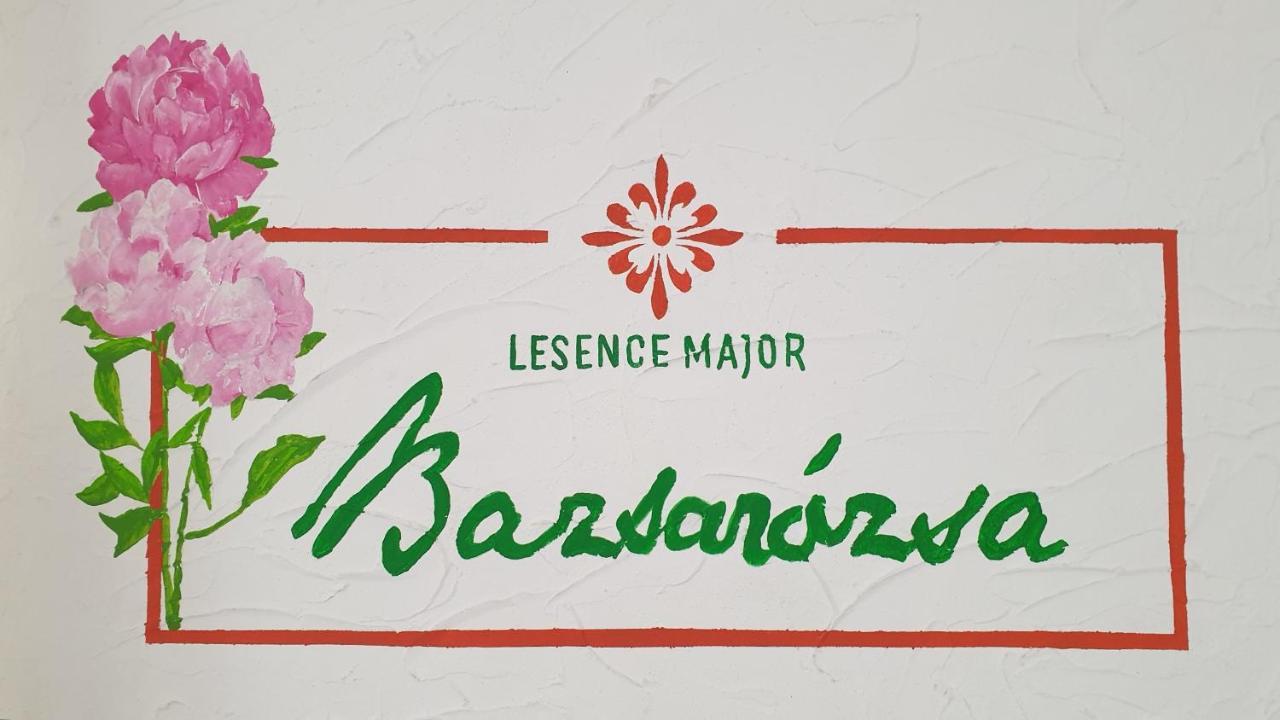 Bed and Breakfast Lesence Major Lesencetomaj Zewnętrze zdjęcie